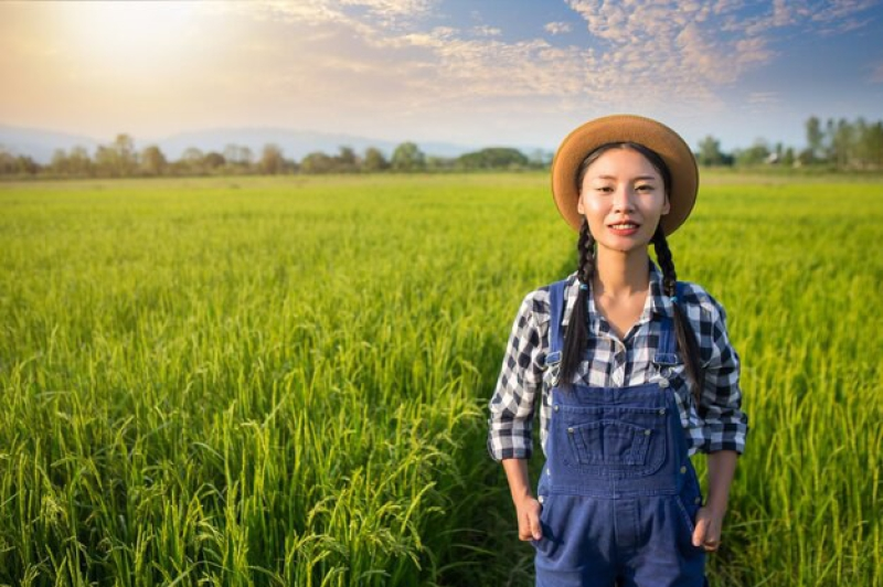 Saiba como beneficiar sua fazenda